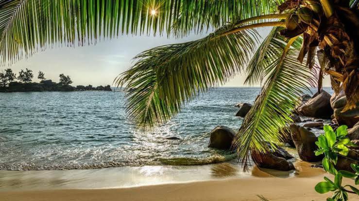 Baga Beach Palms Exterior photo